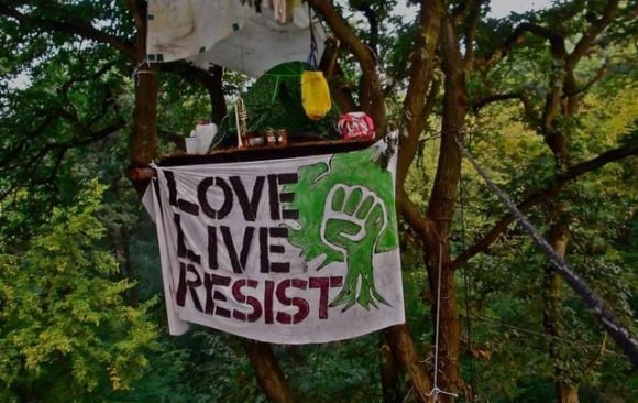 Hambacher Forst bleibt ! Hambacher Forst bleibt !
