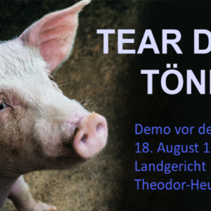 18.08.2021: Aufruf zur Solidaritätsdemo für Tear Down Tönnies vor dem Landgericht Itzehoe