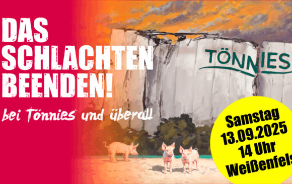 Das Schlachten beenden! Demo gegen Tönnies in Weißenfels
