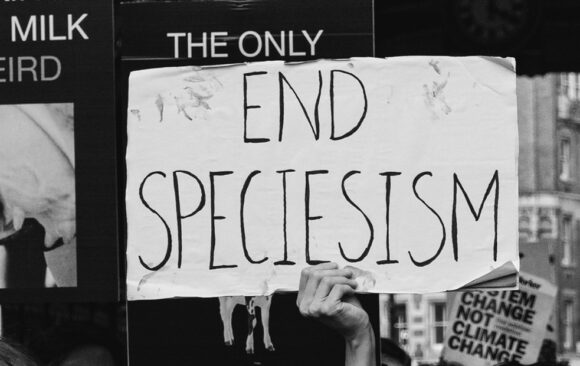 Befreiung hört nicht beim Menschen auf! Eine Einführung in den Antispeziesismus