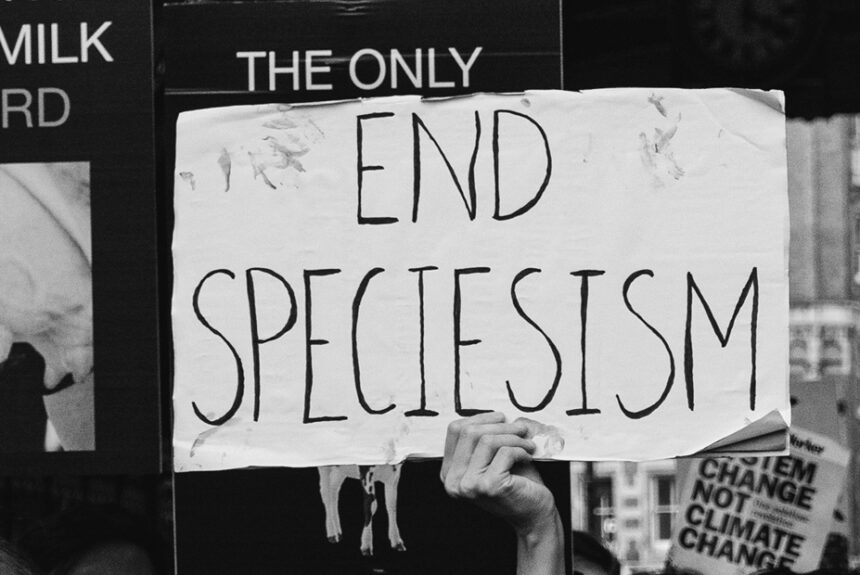 Befreiung hört nicht beim Menschen auf! Eine Einführung in den Antispeziesismus