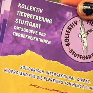 og_stg Neue Ortsgruppe: Kollektiv Tierbefreiung Stuttgart