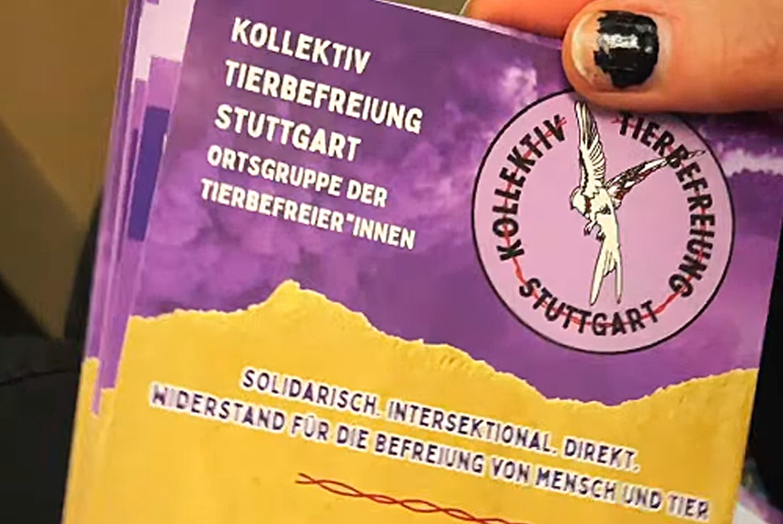 og_stg Neue Ortsgruppe: Kollektiv Tierbefreiung Stuttgart