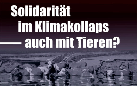 Solidarität mit nichtmenschlichen Tieren im Klimakollaps